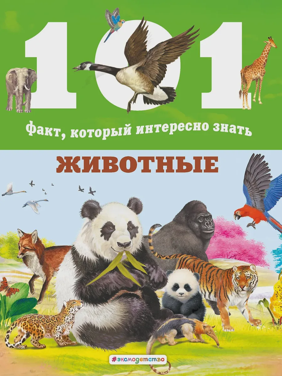 Книга детская Животные — фото 1 из 1