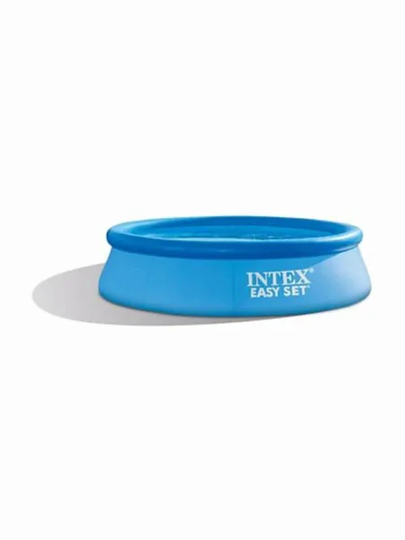 Фото товара Бассейн Easy Set круглый 5621 л