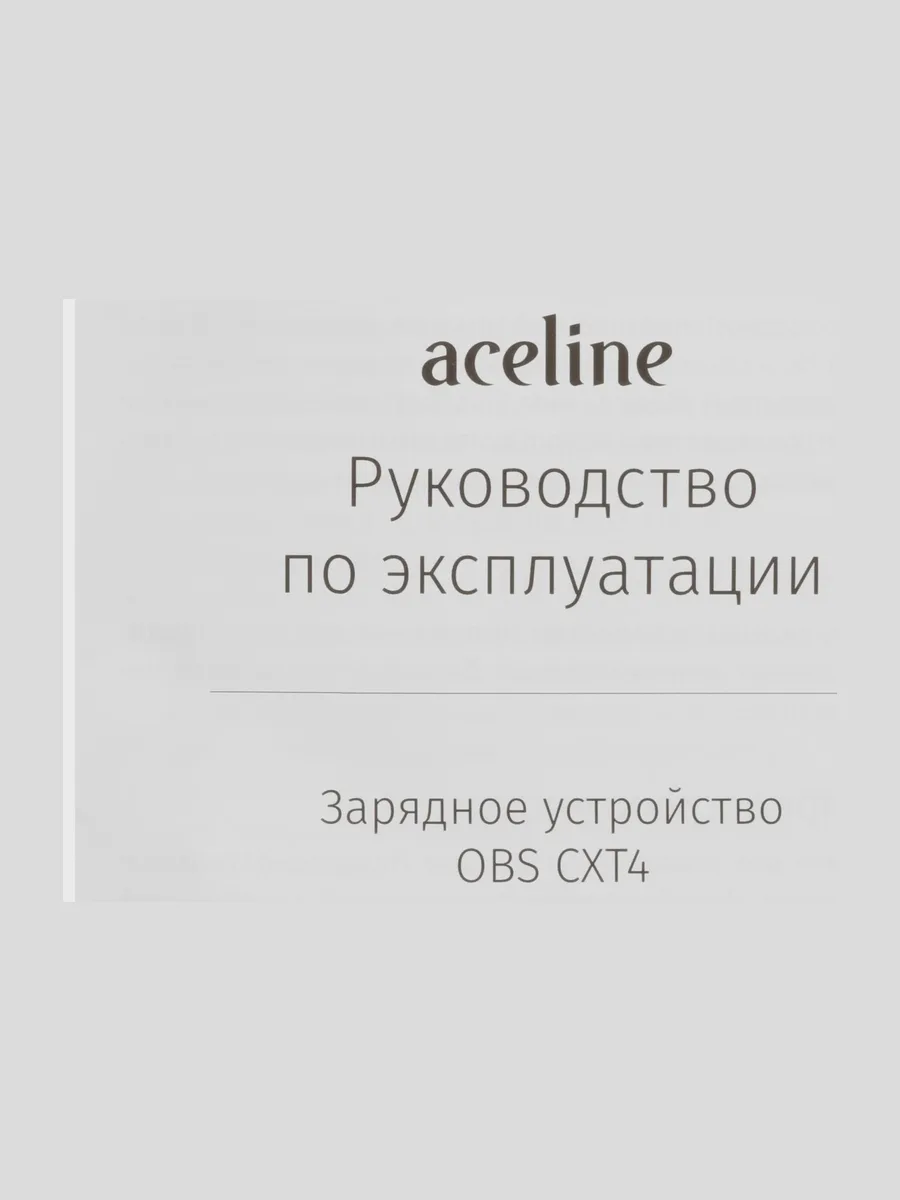 Зарядное устройство Aceline OBS CXT4 OBS 20V 20 В — фото 6 из 8
