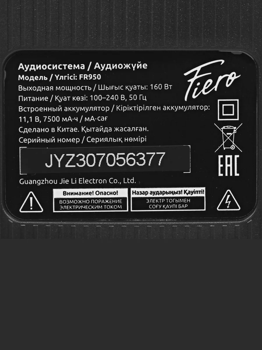 Портативная аудиосистема Fiero Hope 100 FR950 черный — фото 9 из 11