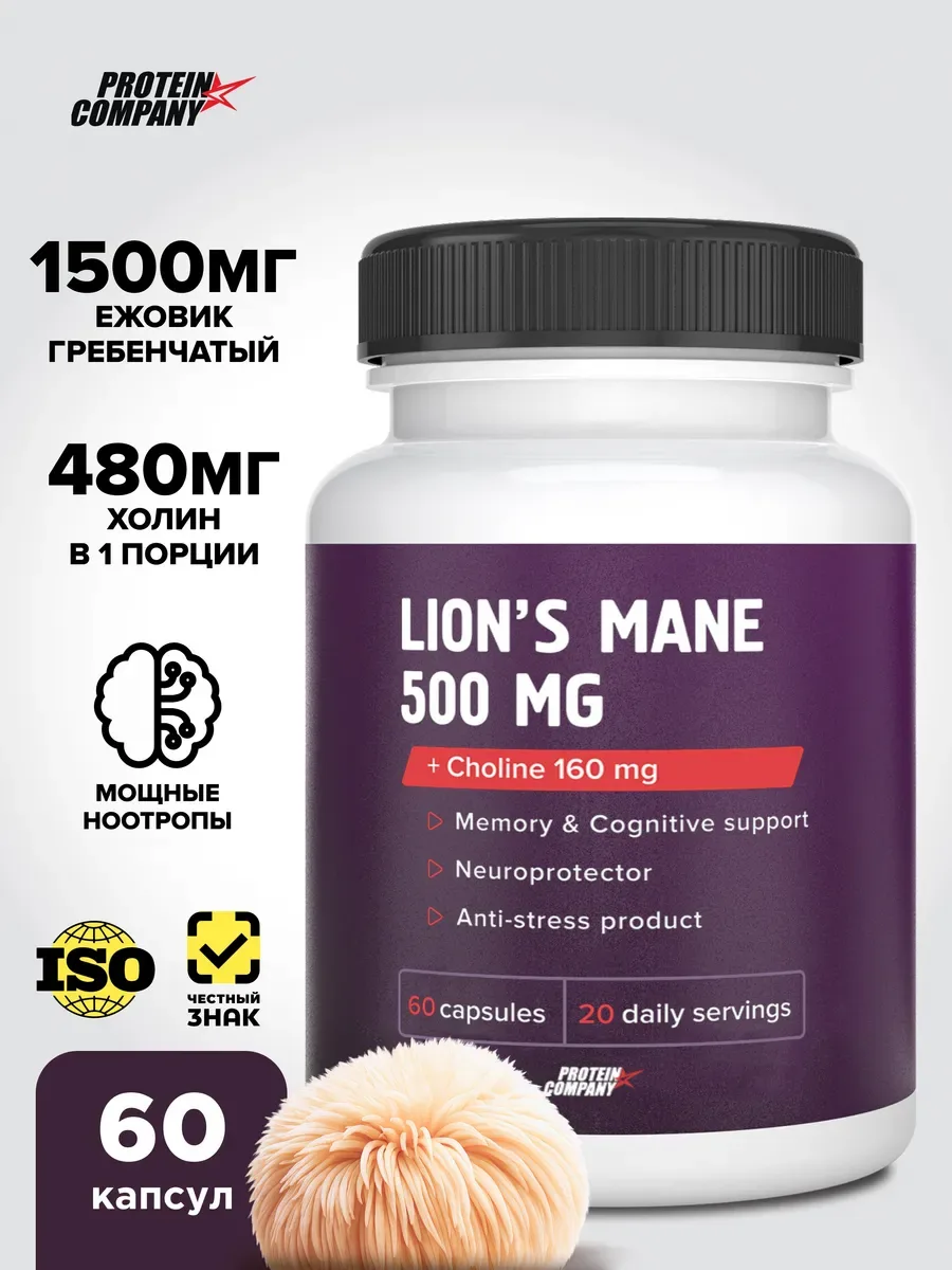 Ежовик гребенчатый + холин PROTEIN.COMPANY Lion's Mane 500 мг, 60 капсул — фото 1 из 5
