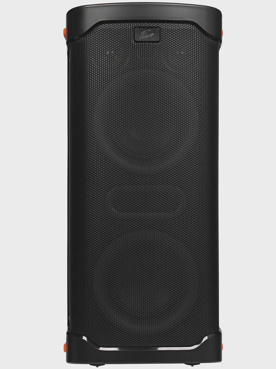 Портативная аудиосистема Fiero Hope 100 FR950 черный — фото 4 из 11