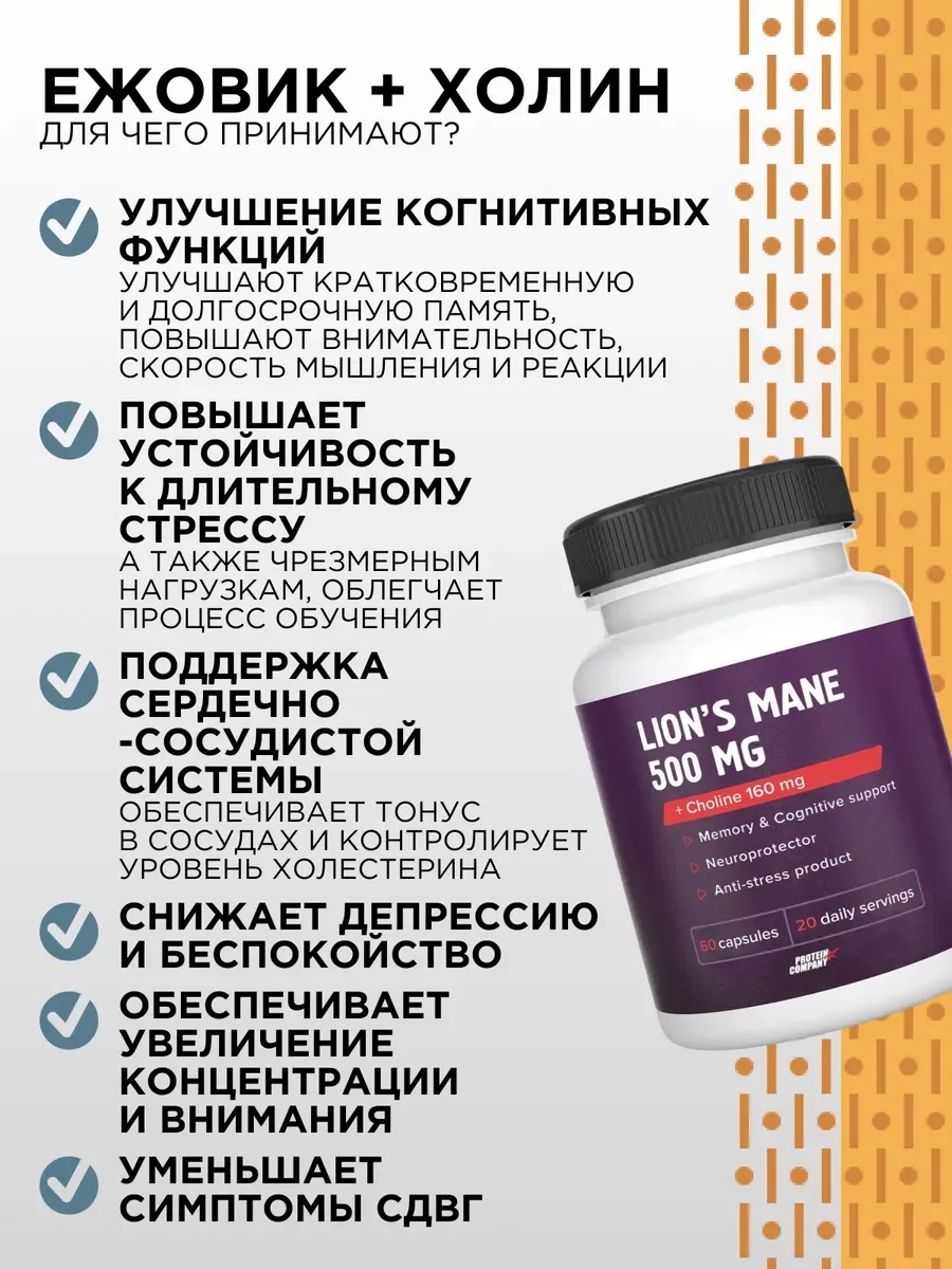 Ежовик гребенчатый + холин PROTEIN.COMPANY Lion's Mane 500 мг, 60 капсул — фото 3 из 5