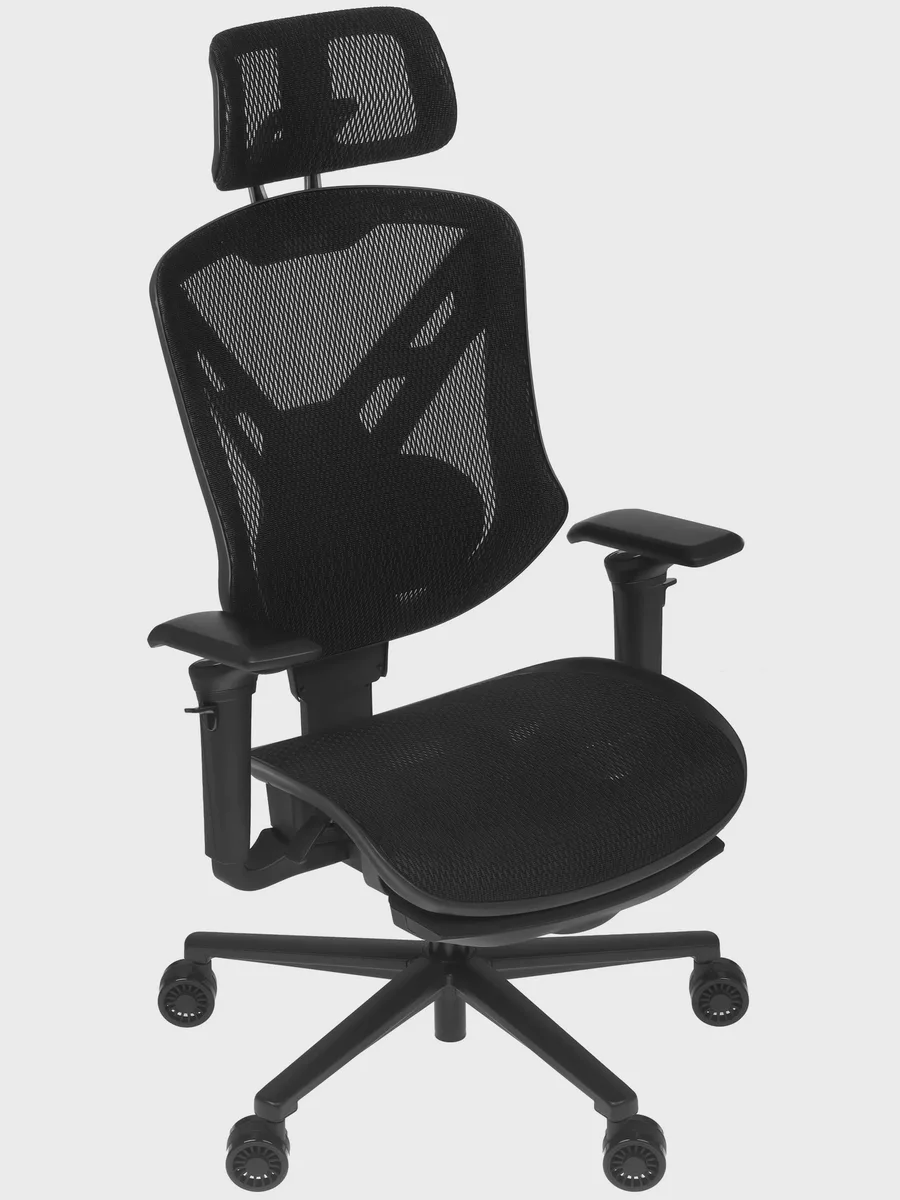 Компьютерное кресло Cougar Speeder Ergonomic до 120 кг — фото 2 из 11