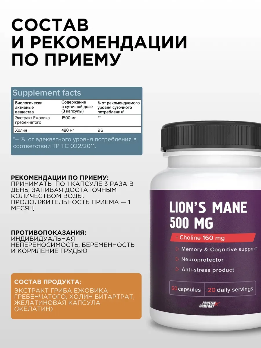 Ежовик гребенчатый + холин PROTEIN.COMPANY Lion's Mane 500 мг, 60 капсул — фото 5 из 5