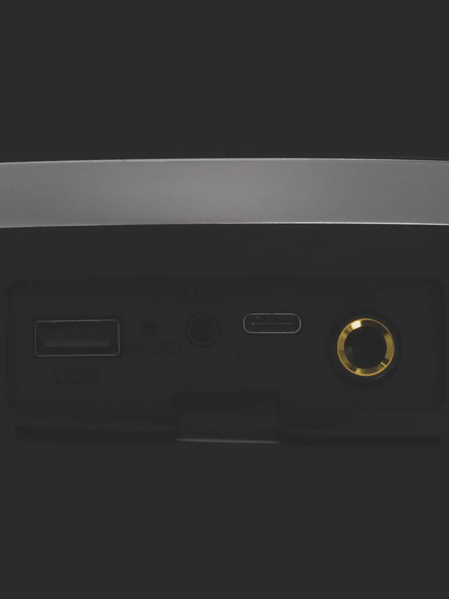 Портативная аудиосистема DEXP DPAS-360 черный — фото 6 из 11