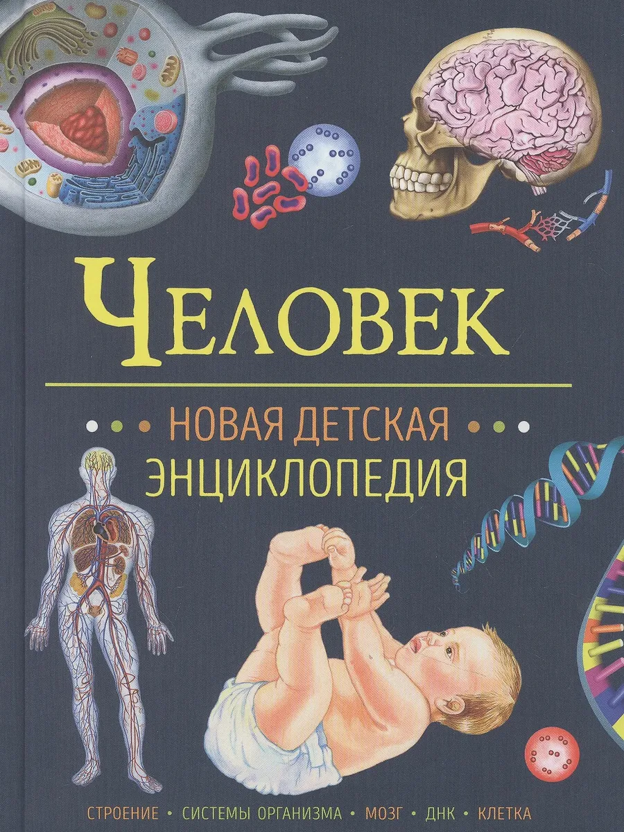 Энциклопедия Человек. Новая детская энциклопедия — фото 1 из 1