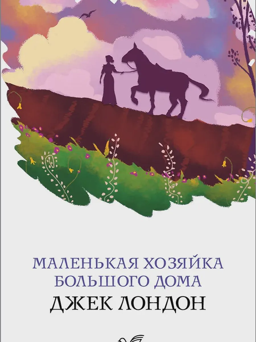 Книга Маленькая хозяйка Большого дома — фото 1 из 1