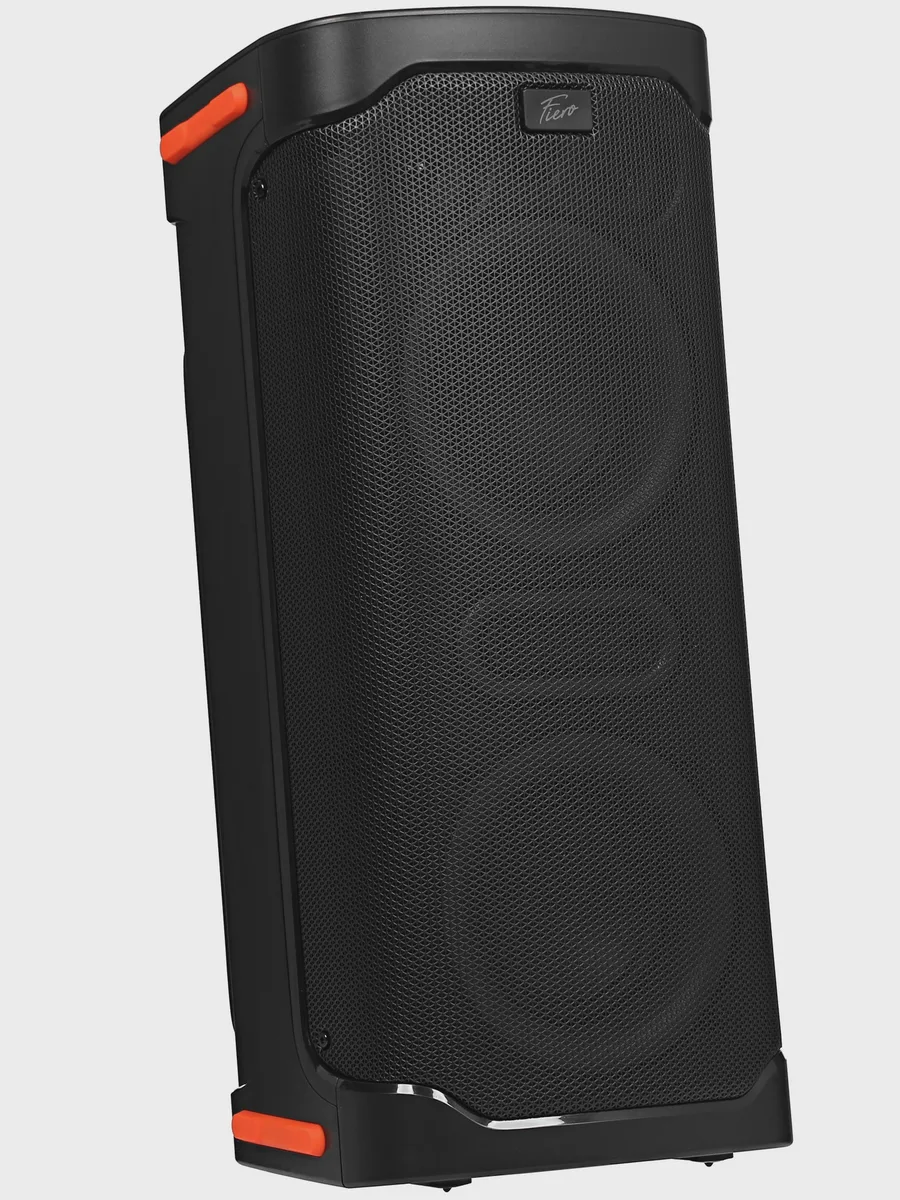 Портативная аудиосистема Fiero Hope 100 FR950 черный — фото 3 из 11