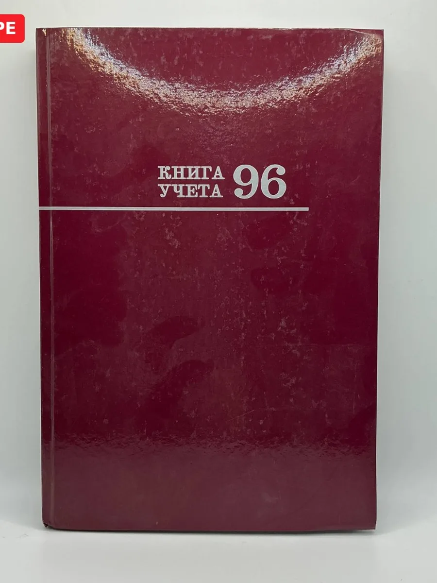 Журнал Книга учета клетка 96л А4 твердый переплет Синяя/зелен/чер/серый Проф — фото 2 из 4