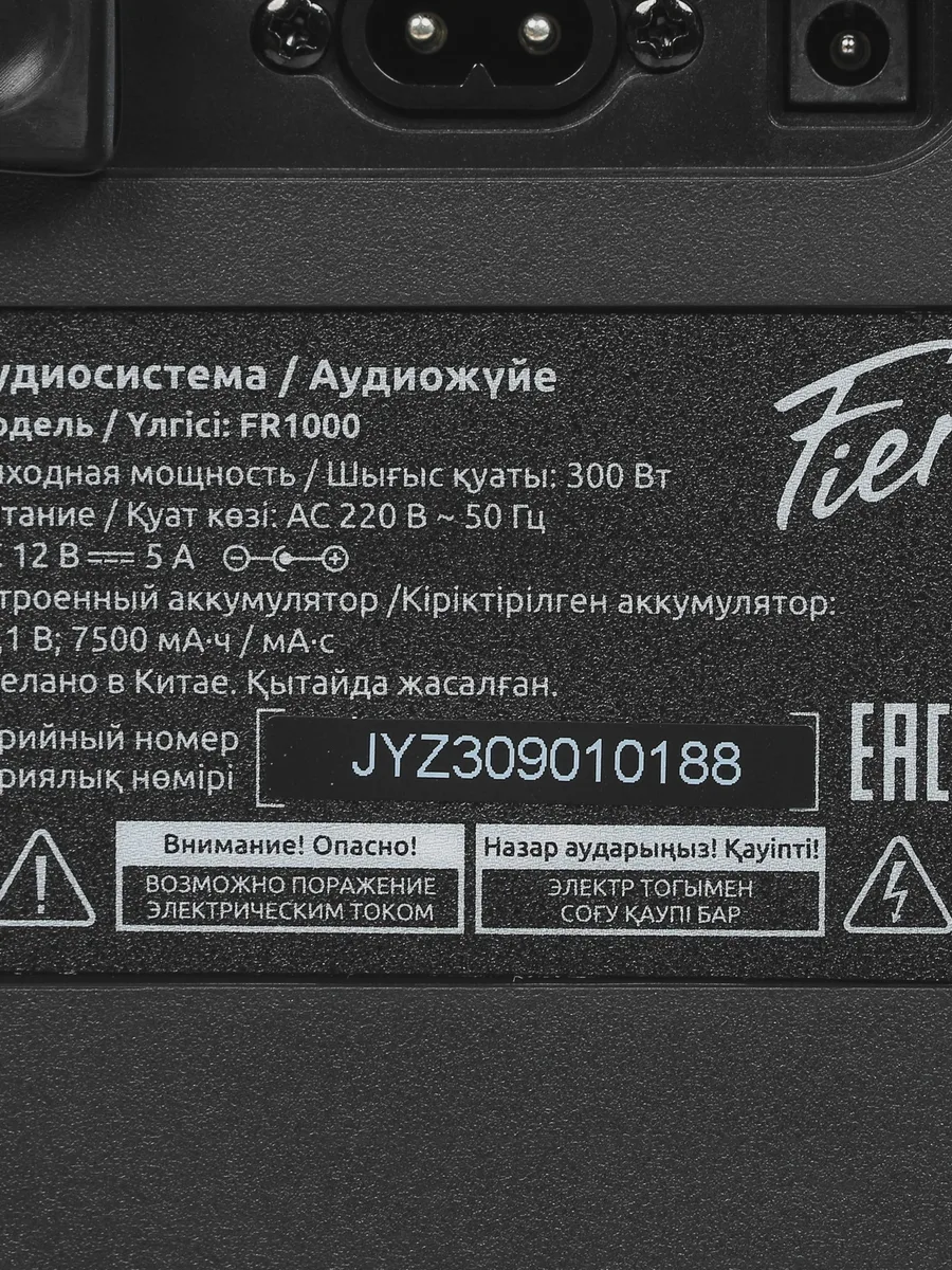 Портативная аудиосистема Fiero Emotion 200 FR1000 черный — фото 8 из 11