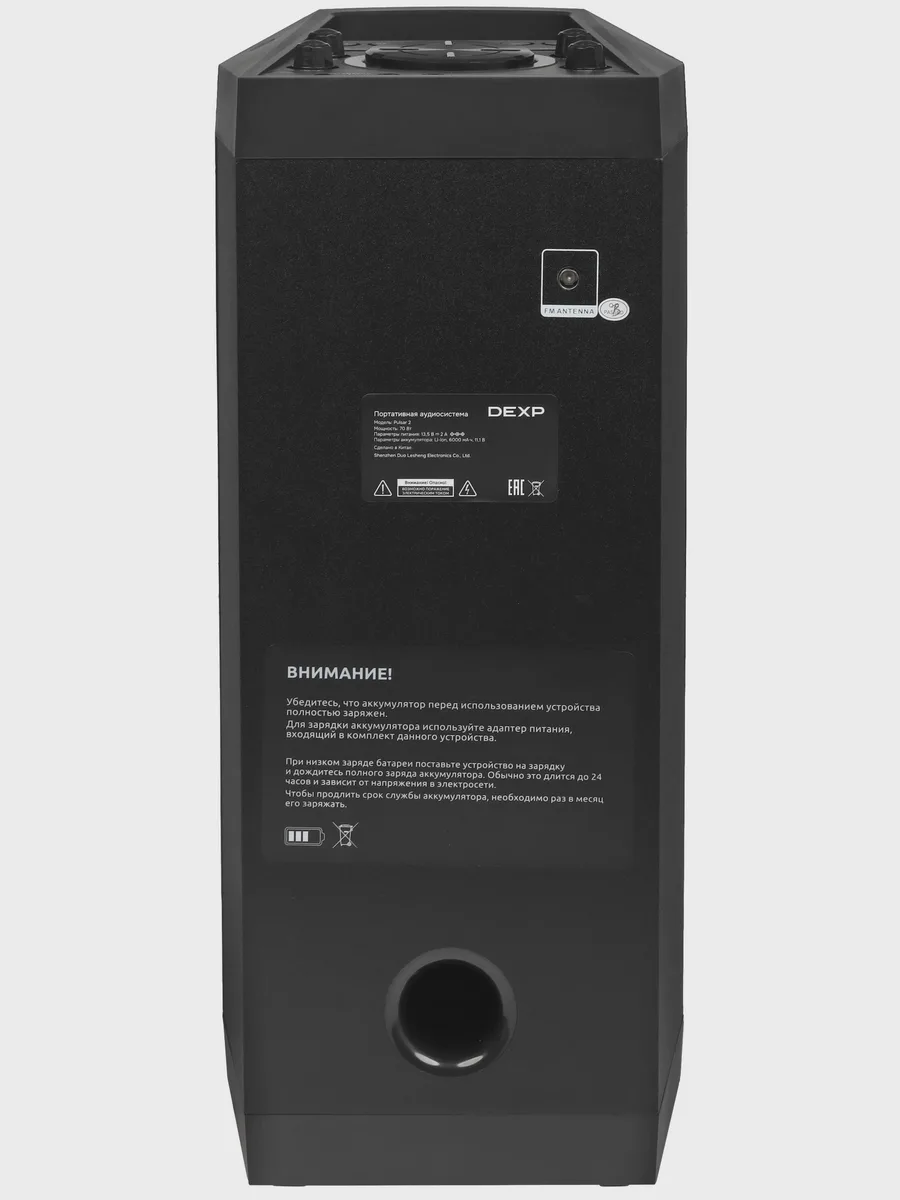 Портативная аудиосистема DEXP Pulsar 2 черный — фото 9 из 11