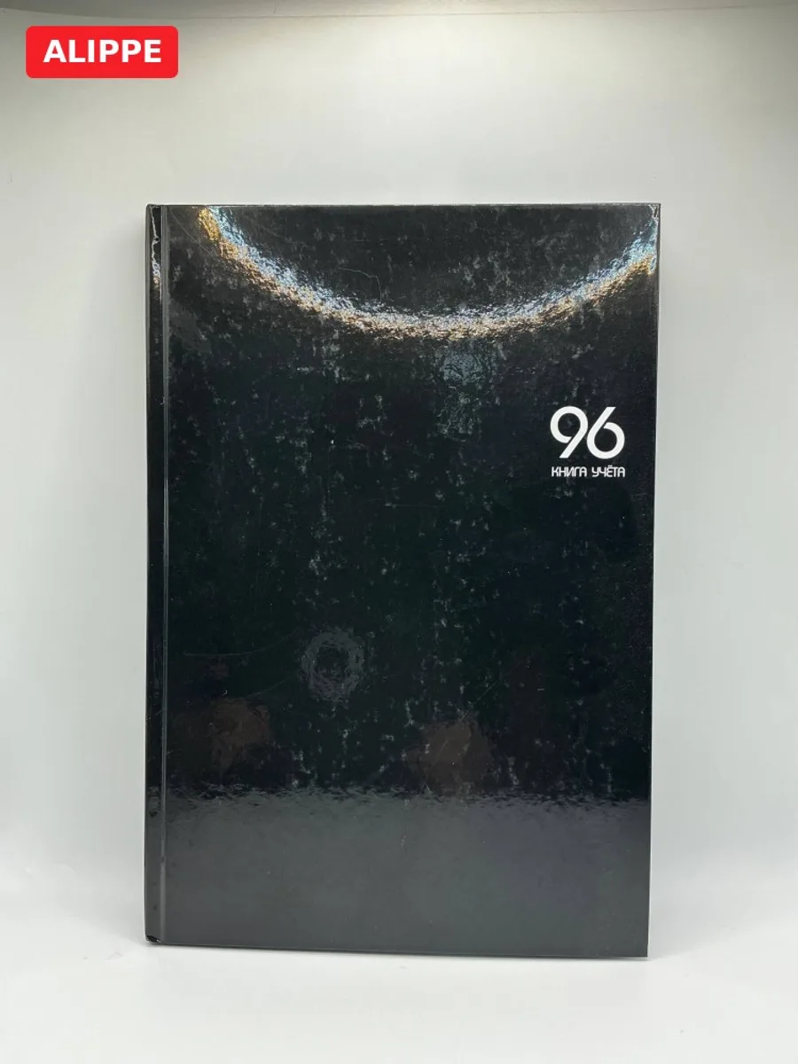Журнал Книга учета клетка 96л А4 твердый переплет Синяя/зелен/чер/серый Проф — фото 4 из 4