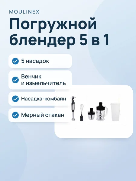 Фото товара Погружной блендер Moulinex DD67L810, 5 насадок