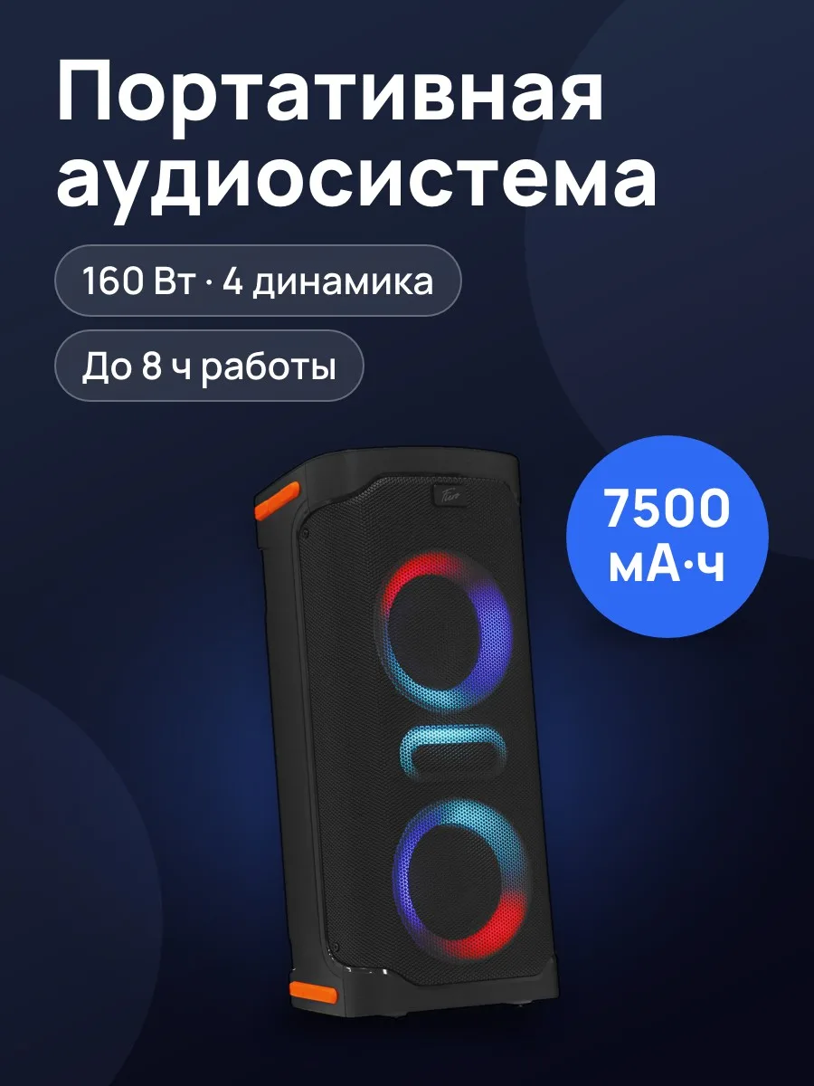Портативная аудиосистема Fiero Hope 100 FR950 черный — фото 1 из 11