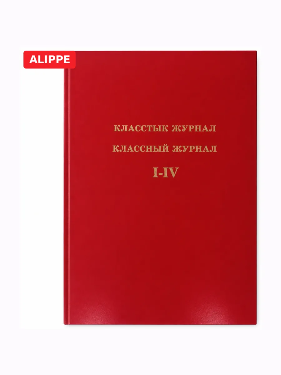 Классный журнал младший класс А4 твердый переплет I-IV класс — фото 2 из 3
