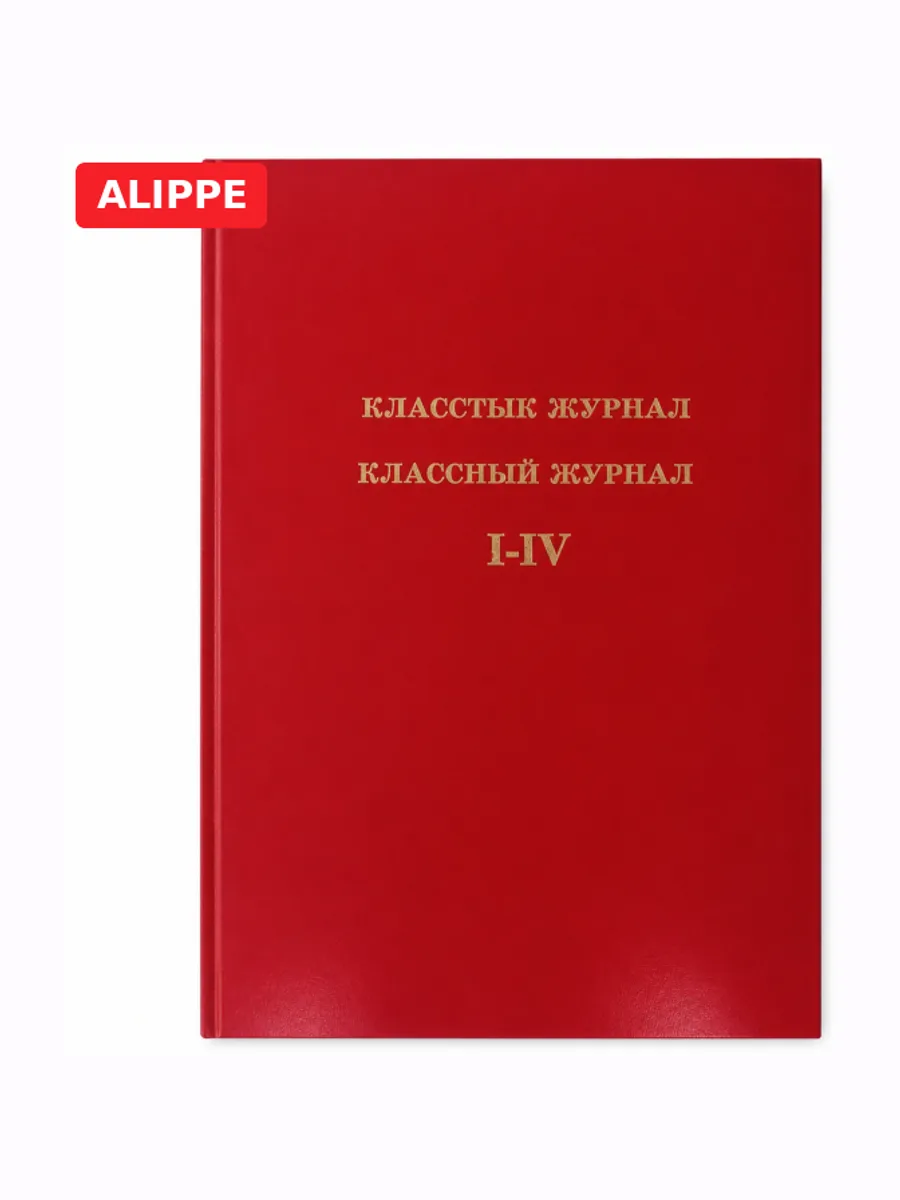 Классный журнал младший класс А4 твердый переплет I-IV класс — фото 3 из 3