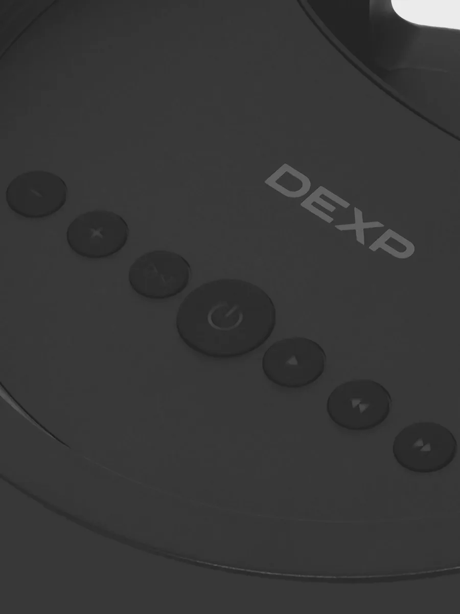 Портативная аудиосистема DEXP DPAS-360 черный — фото 5 из 11