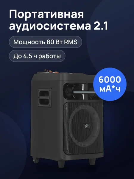 Фото товара Портативная аудиосистема Fiero Maletas FRPA-200 черный