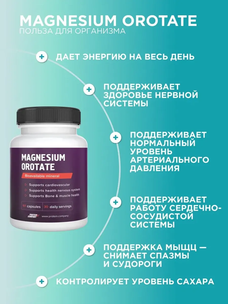 Магний оротат PROTEIN.COMPANY Magnesium Orotate, 60 капсул — фото 3 из 5