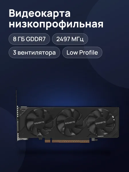 Фото товара Видеокарта GIGABYTE GeForce RTX 5060 D7 Low Profile 8 ГБ GDDR7 2497 МГц
