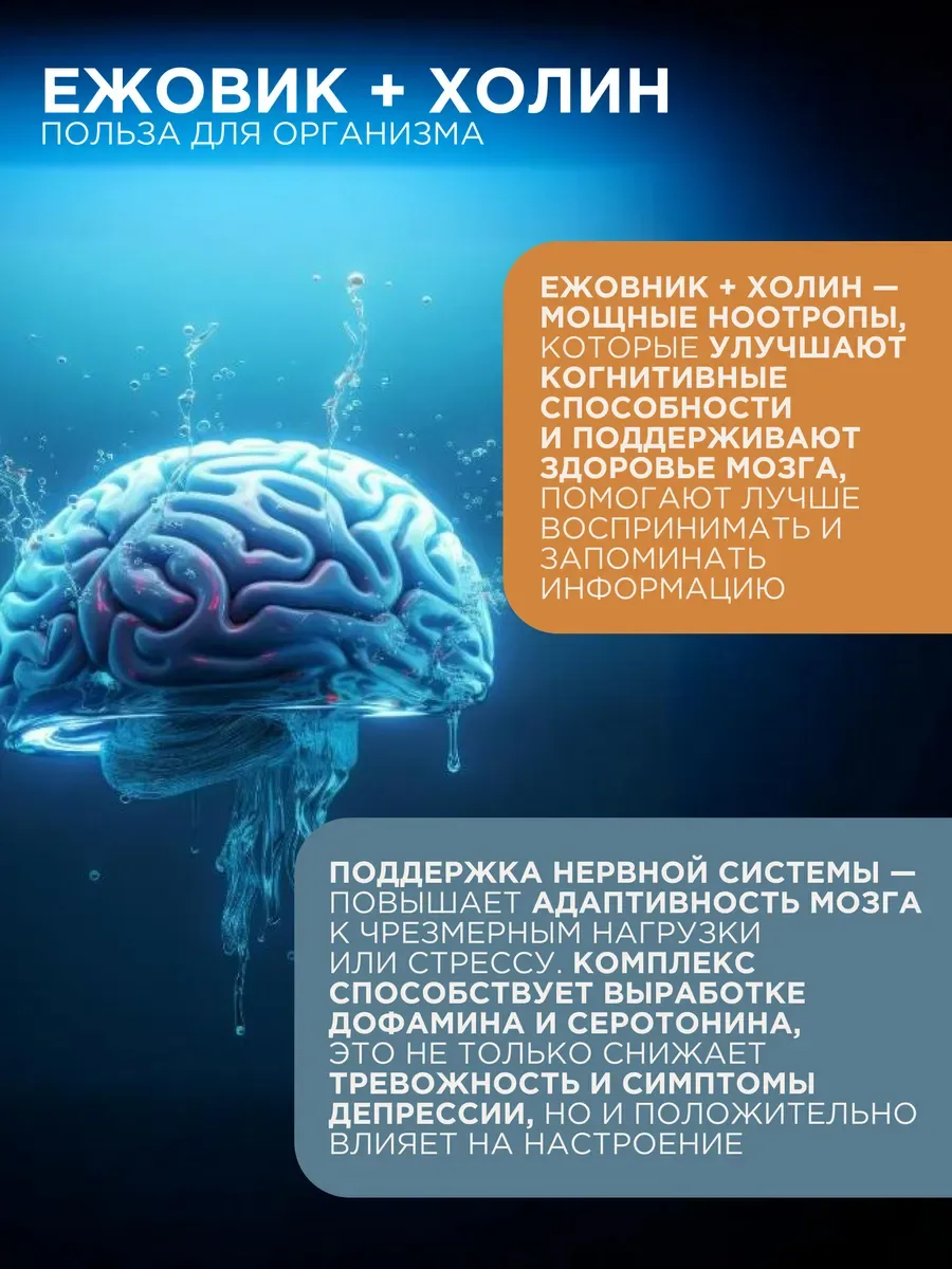 Ежовик гребенчатый + холин PROTEIN.COMPANY Lion's Mane 500 мг, 60 капсул — фото 2 из 5