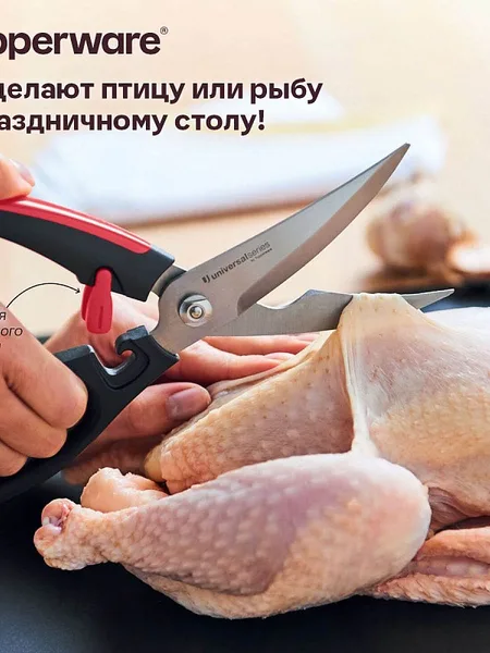 Фото товара Ножницы «Диско» для птицы
