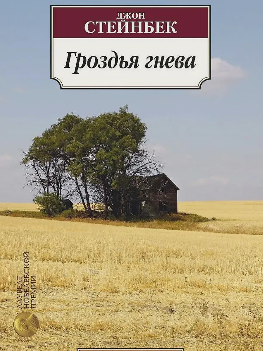 Книга Гроздья гнева — фото 1 из 1
