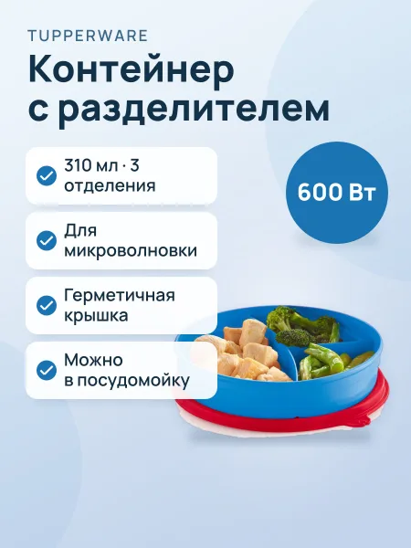 Фото товара Контейнер с разделителем (310 мл)