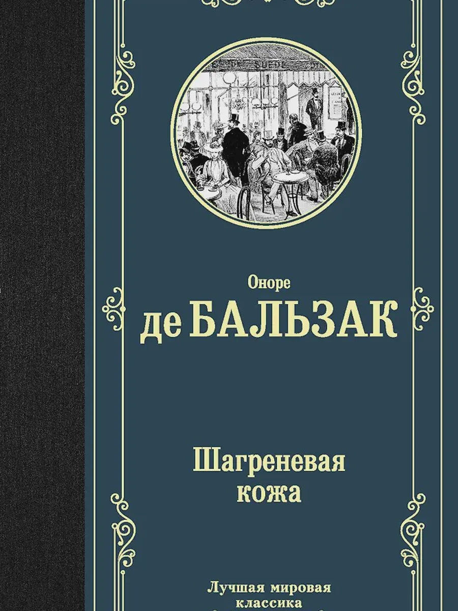 Книга Шагреневая кожа — фото 1 из 1