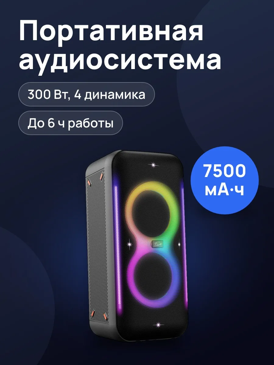 Портативная аудиосистема Fiero Emotion 200 FR1000 черный — фото 1 из 11