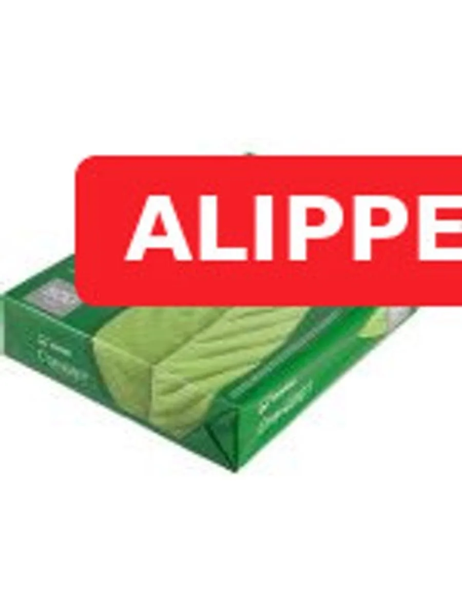 Бумага для офисной техники Илим Стандарт (А4, марка С, 80 г/кв.м, 500 листов) — фото 5 из 5