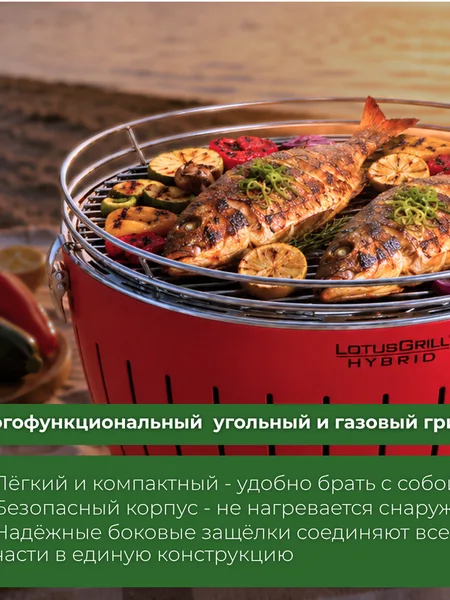Фото товара Гриль LotusGrill Classic Hybrid 35 см