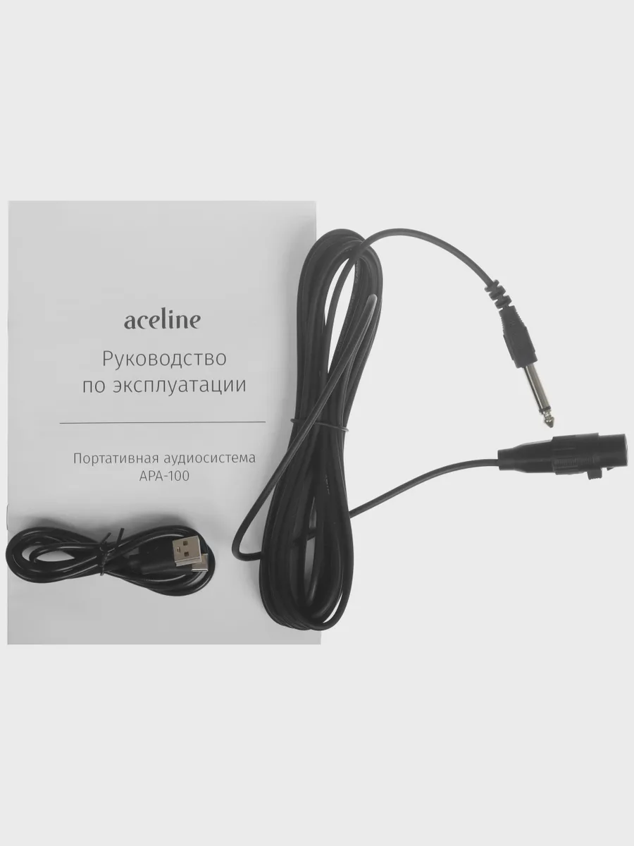 Портативная аудиосистема Aceline APA-100 черный — фото 10 из 10
