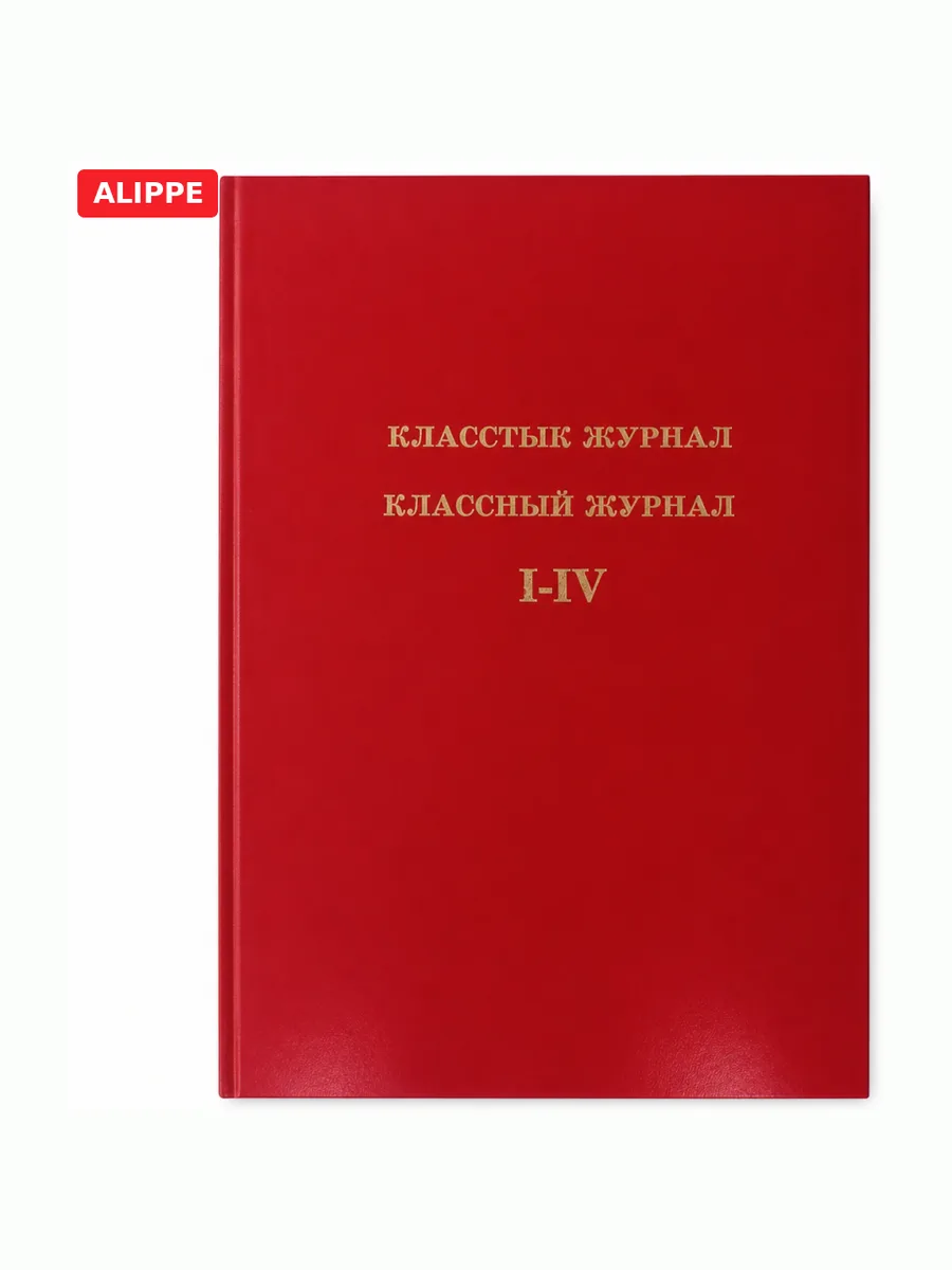 Классный журнал младший класс А4 твердый переплет I-IV класс — фото 1 из 3