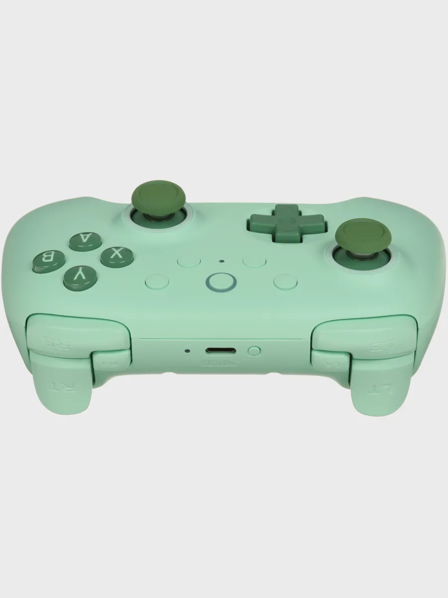 Геймпад беспроводной/проводной 8BitDo Ultimate 2C — фото 5 из 19