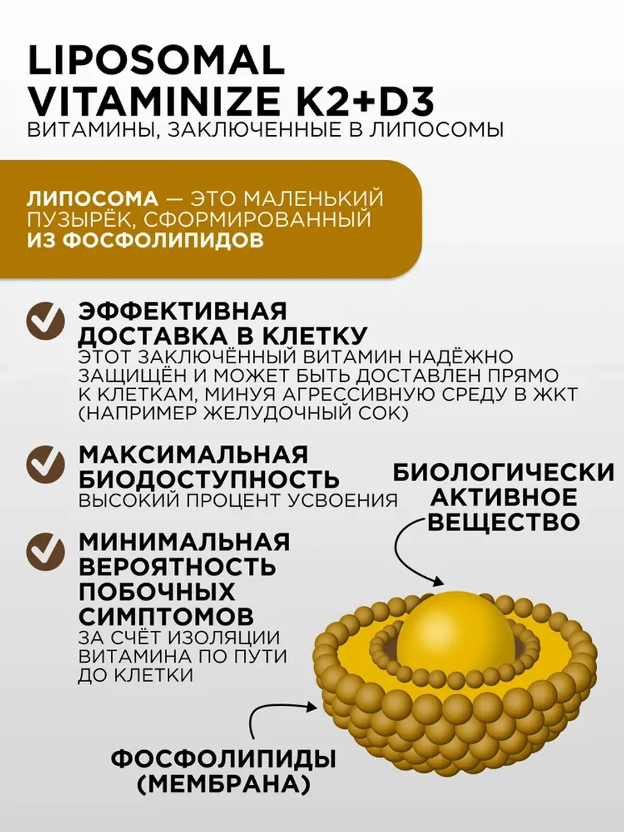 Липосомальный Витамин Д3 + К2 PROTEIN.COMPANY Liposomal Vitamin D3 (2000 МЕ) + K2 (60 мкг), 60 капсул — фото 3 из 5