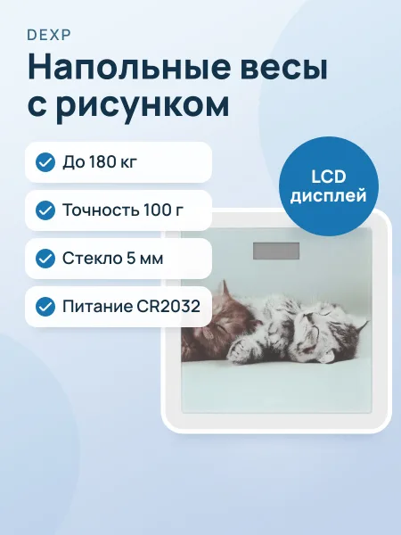 Фото товара Весы DEXP SCL-30P
